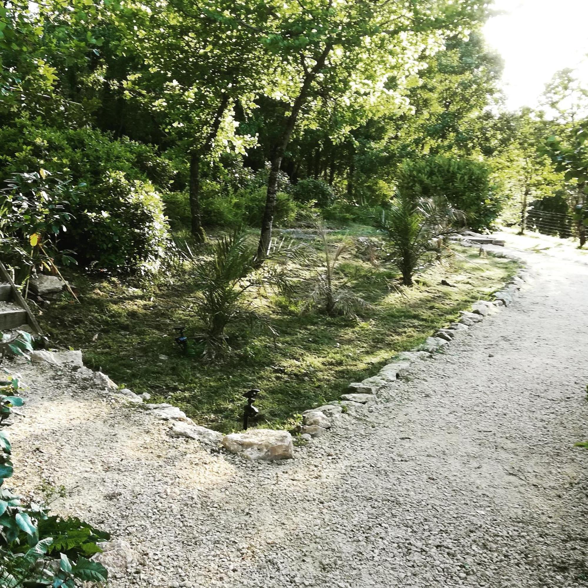 La Source Bed & Breakfast Saint-Cybranet Exterior foto